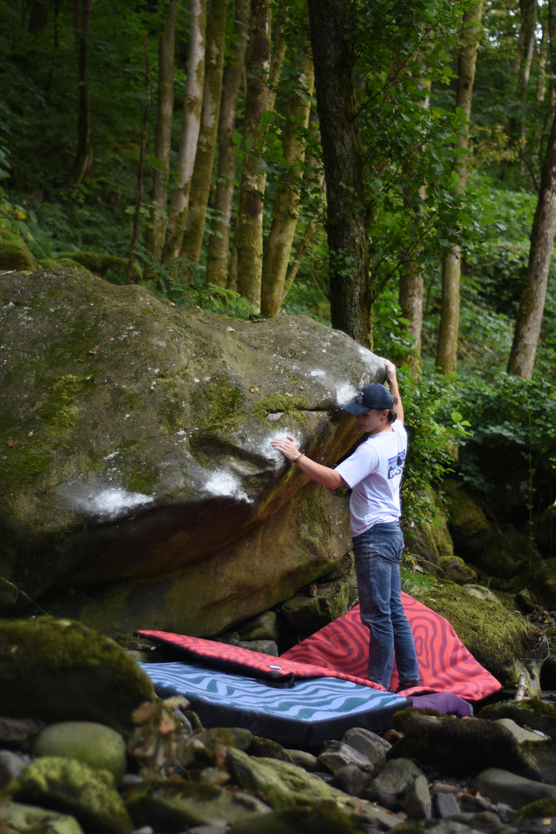 Field photo